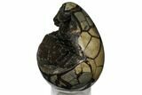 Septarian Dragon Egg Geode - Black Crystals #124467-2
